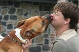 ADULTE ET CHIEN 407